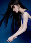 中国地质查询拜访局局长